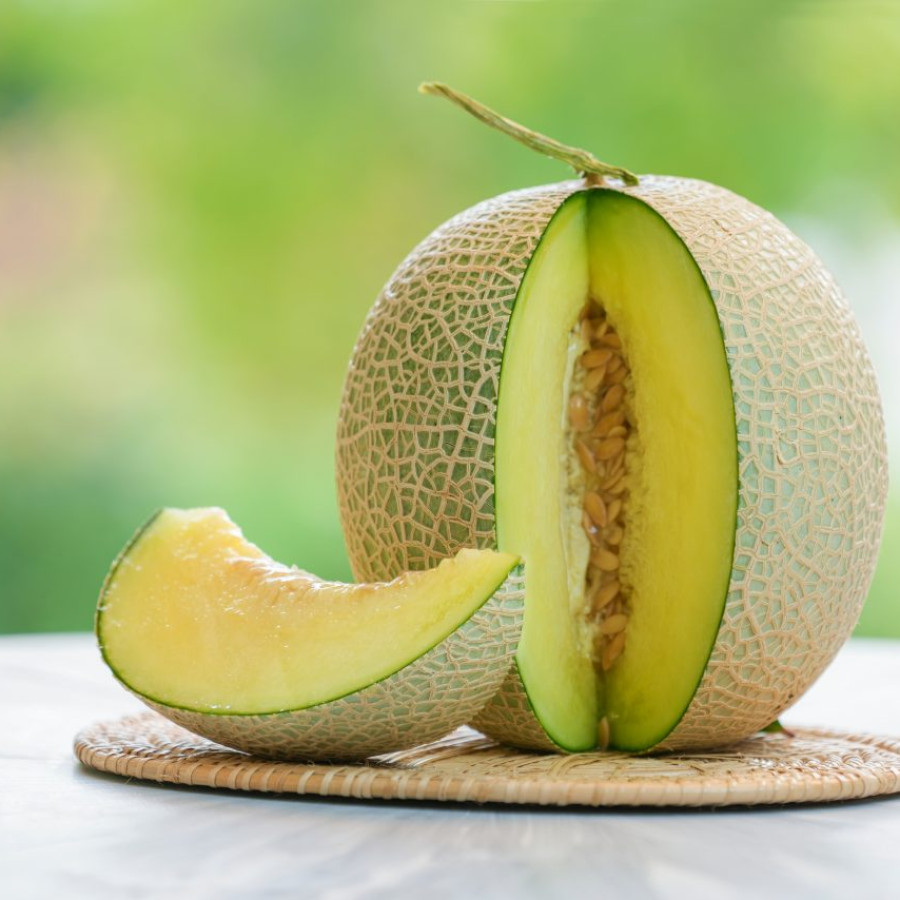 BUAH MELON