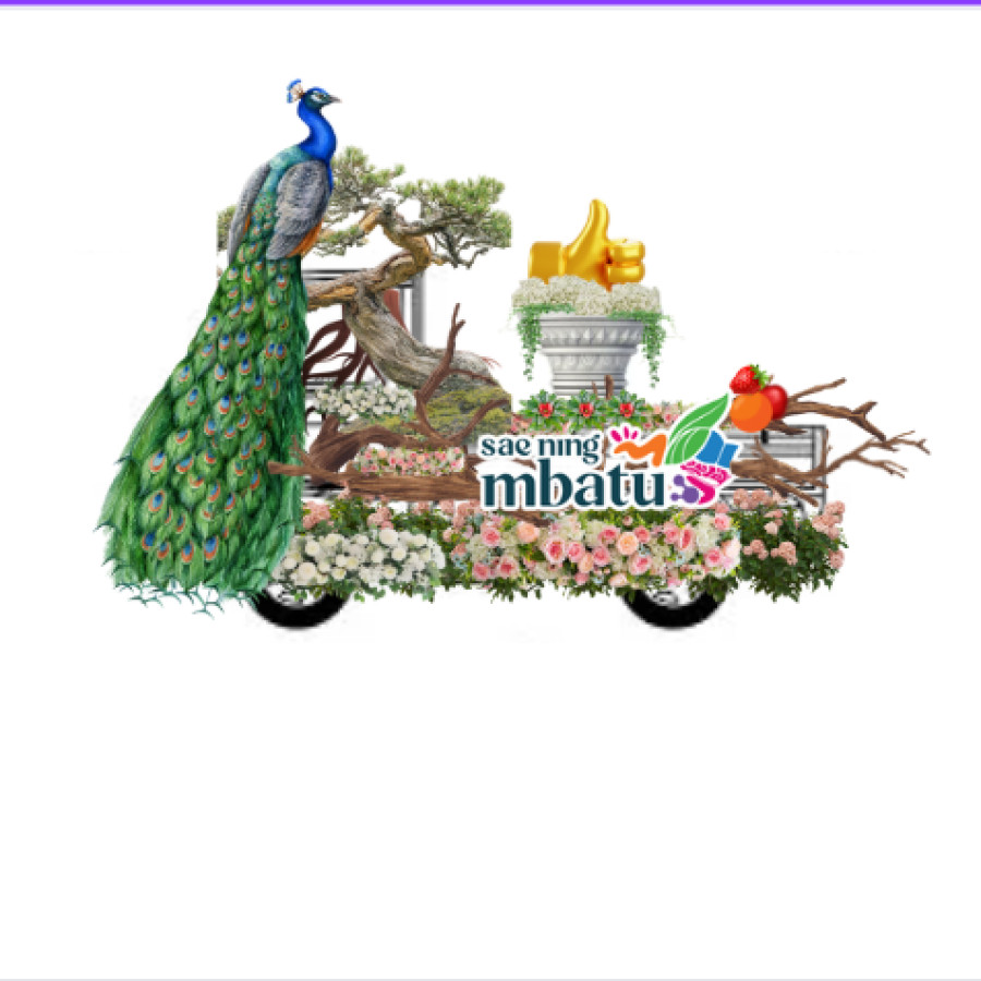 DEKORASI MOBIL HIAS