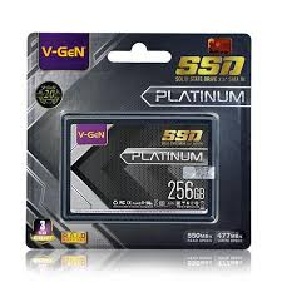 SSD Internal 256Gb V-Gen