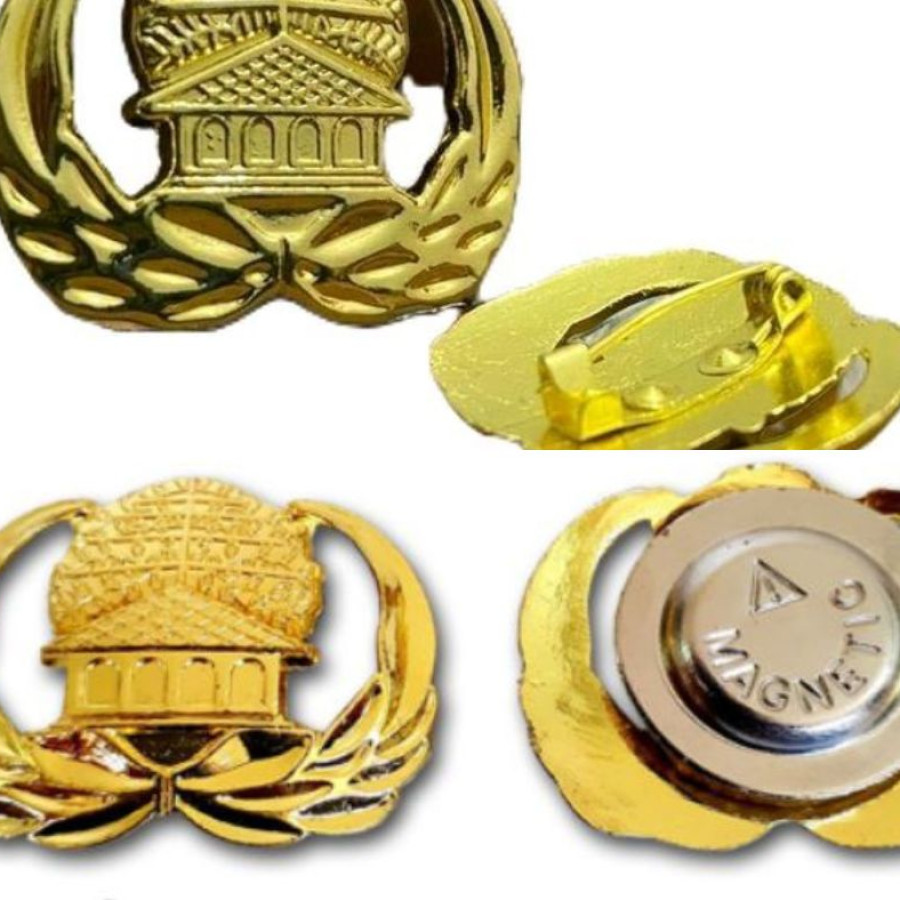 Pin Korpri