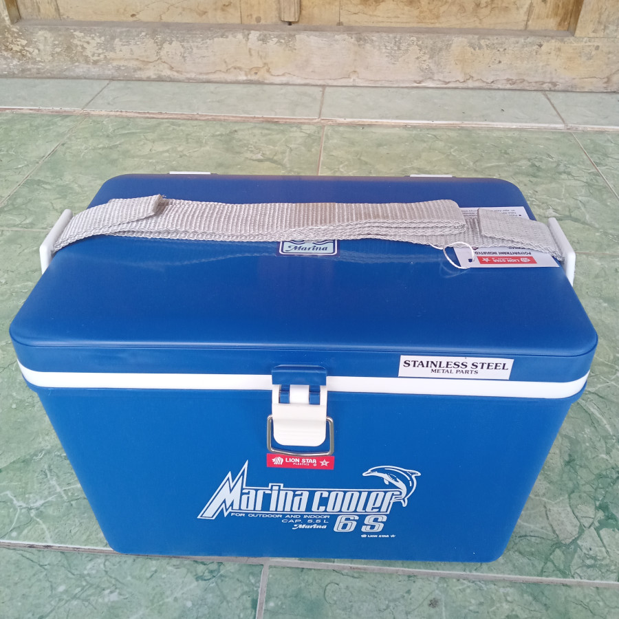 Box Es Lion Star 5,5 Liter.