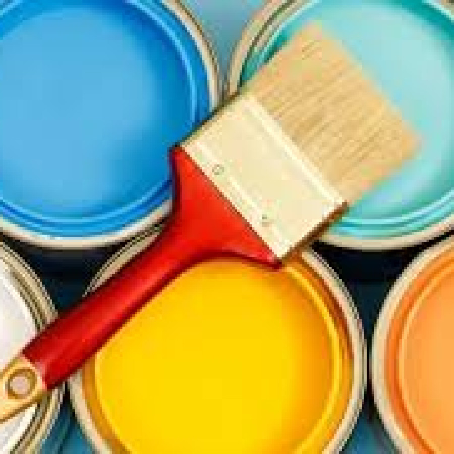 Cat Tembok In Door 5 kg merk Avian