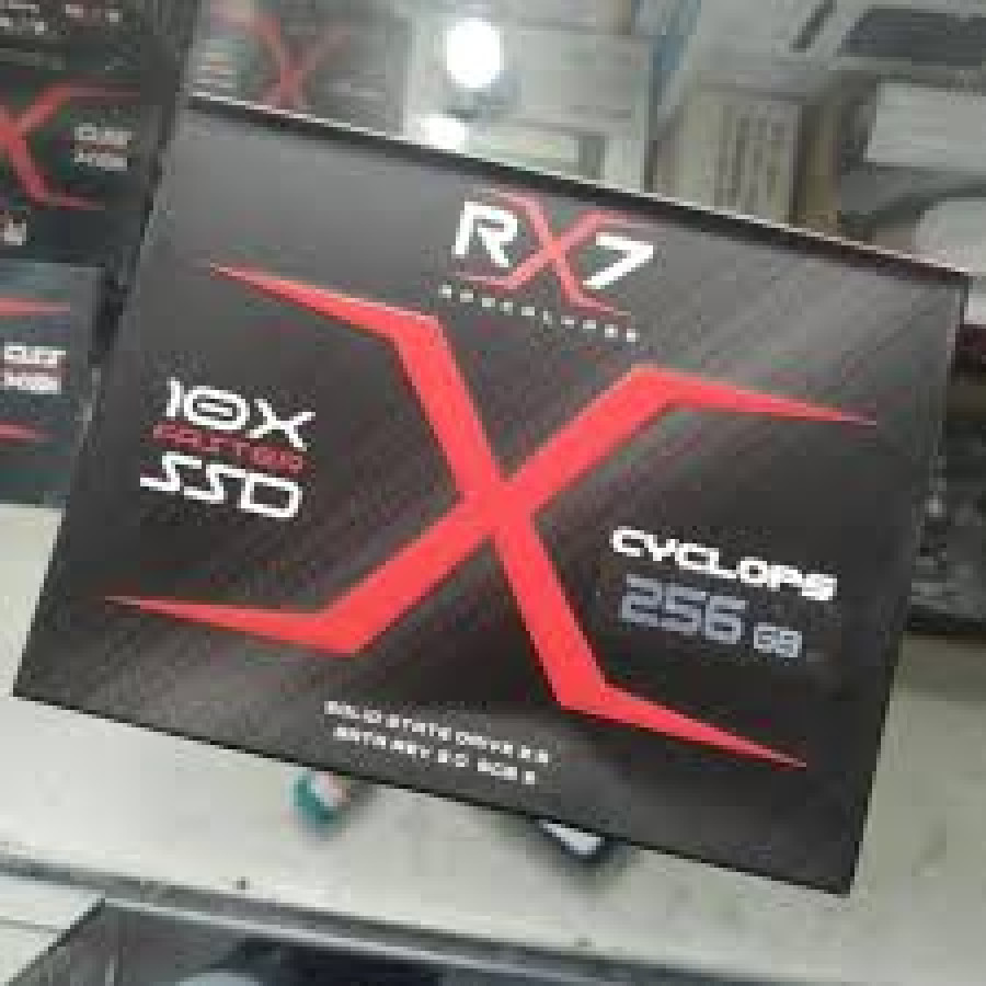 SSD SATA 3 256GB RX 7