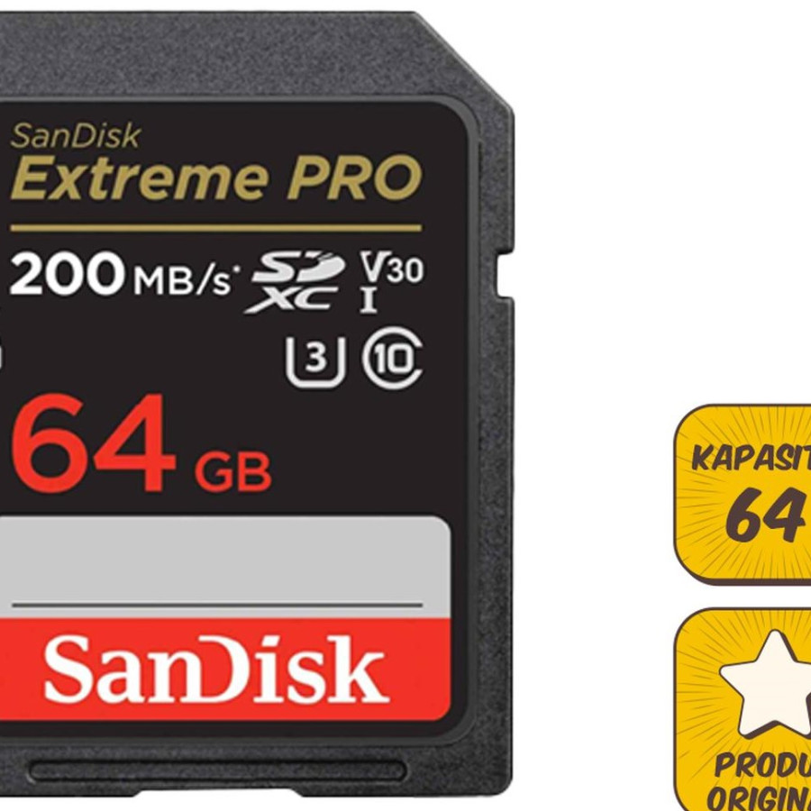 SD Card Class 10 Sandisk