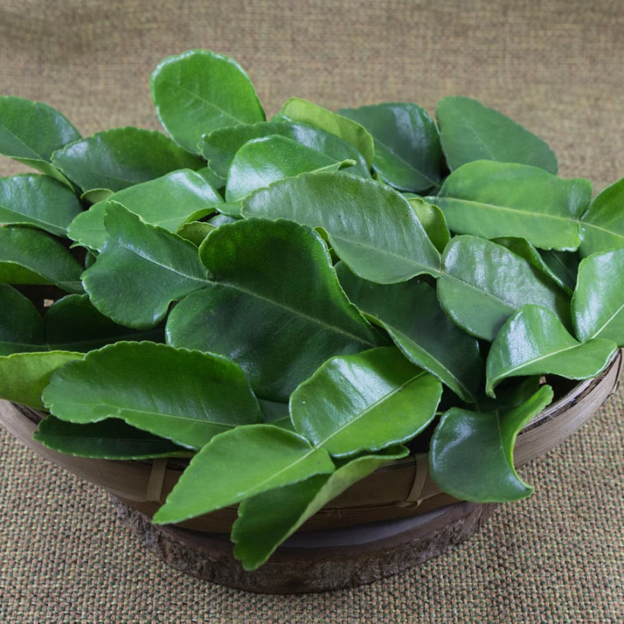 Daun Jeruk Purut 1 Kg