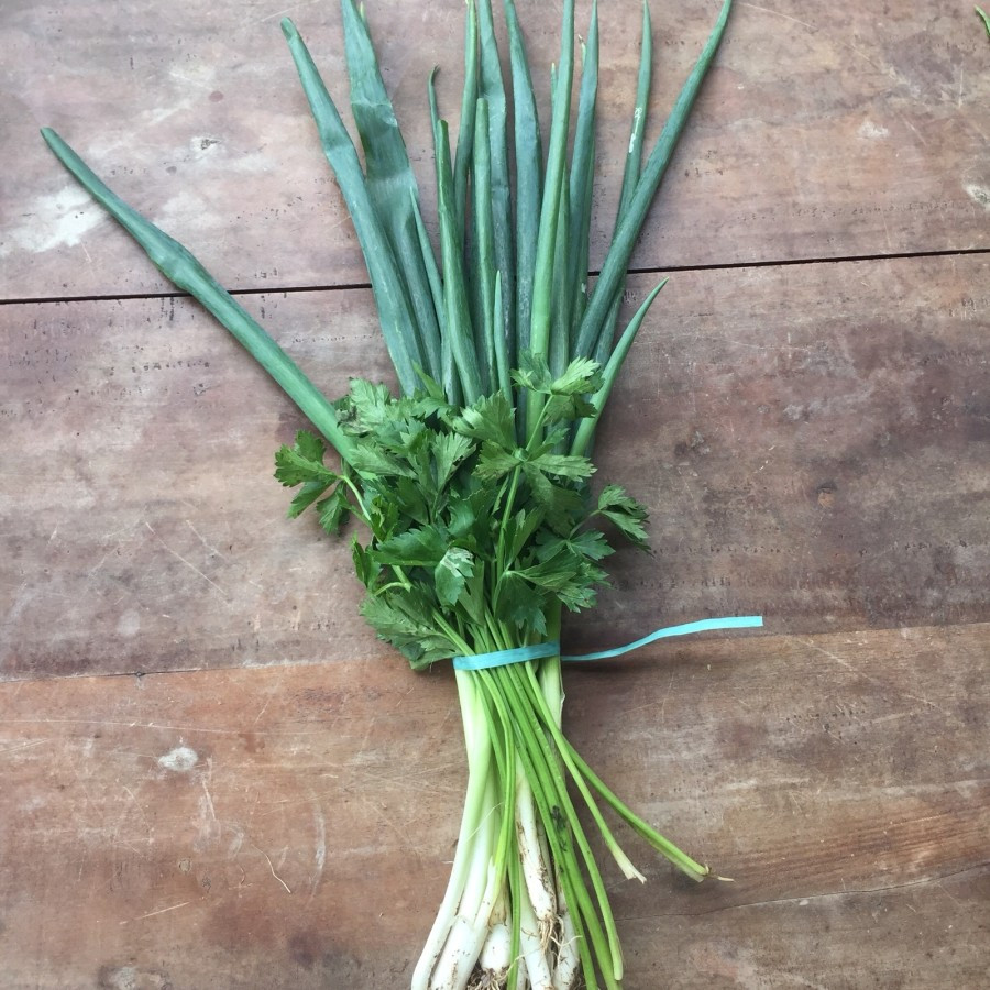 Daun Bawang Pre + Seledri - utama