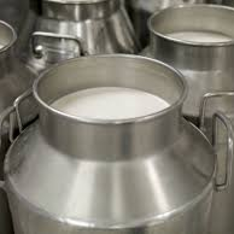 milk can/ ken susu 10 ltr wadah susu sapi