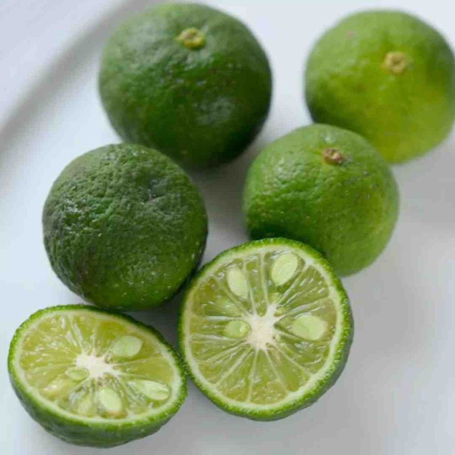 Jeruk Limau - utama