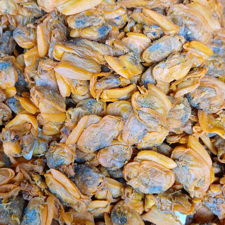 Kerang kupas - utama