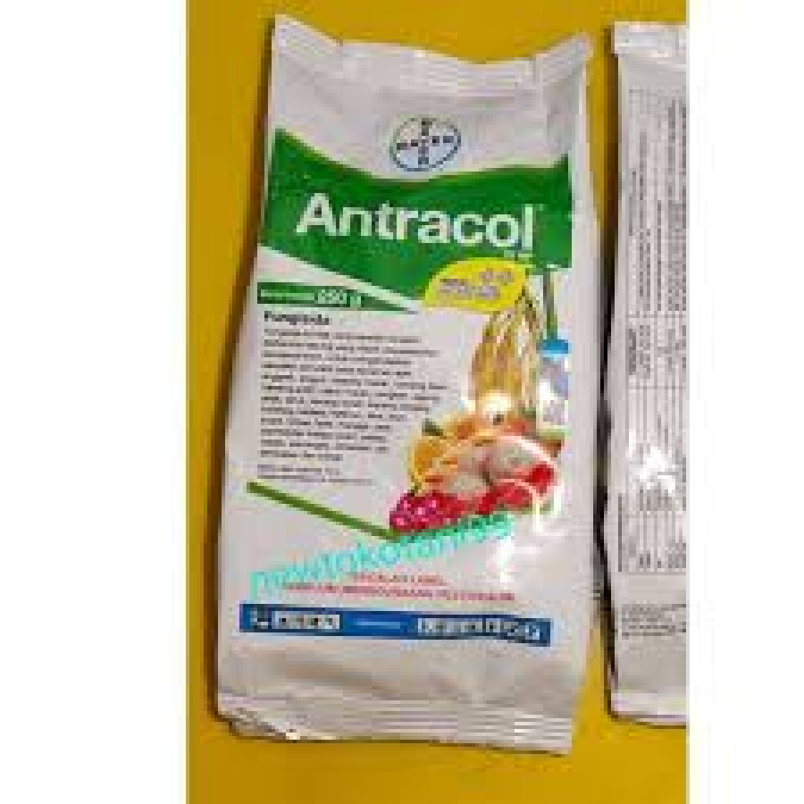 fungisida antracol
