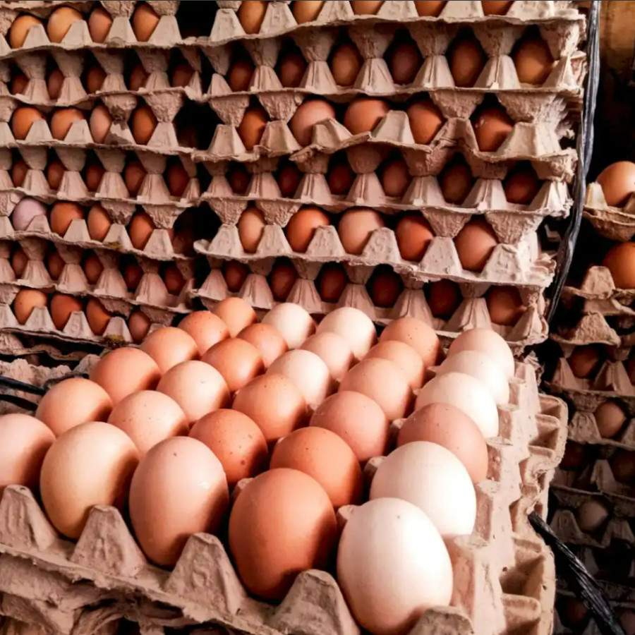 Telur Ayam 1kg