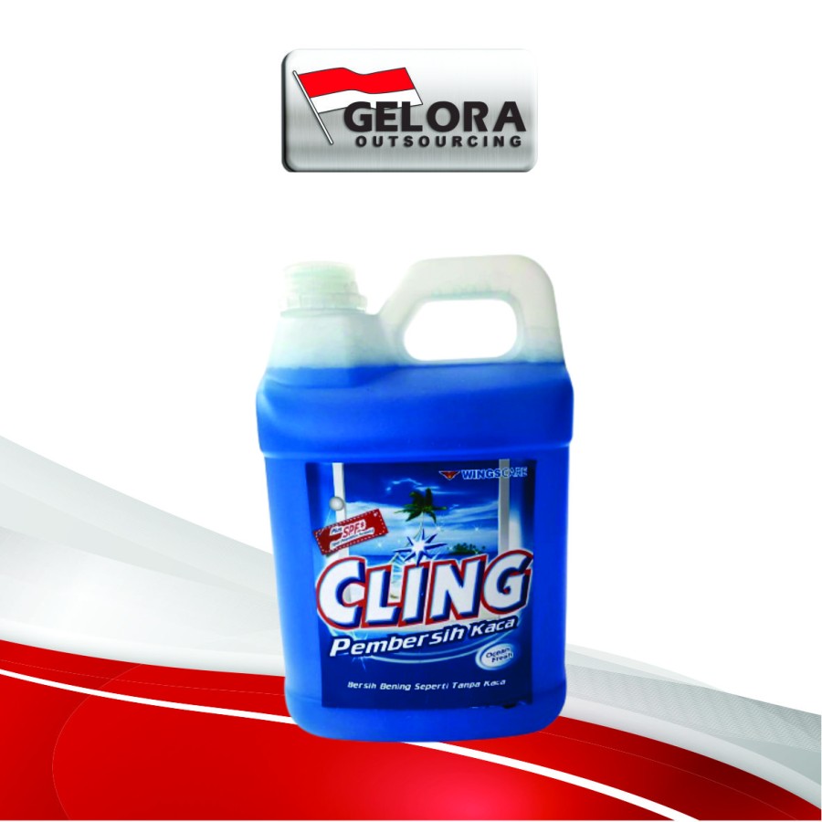 Glass Cleaner