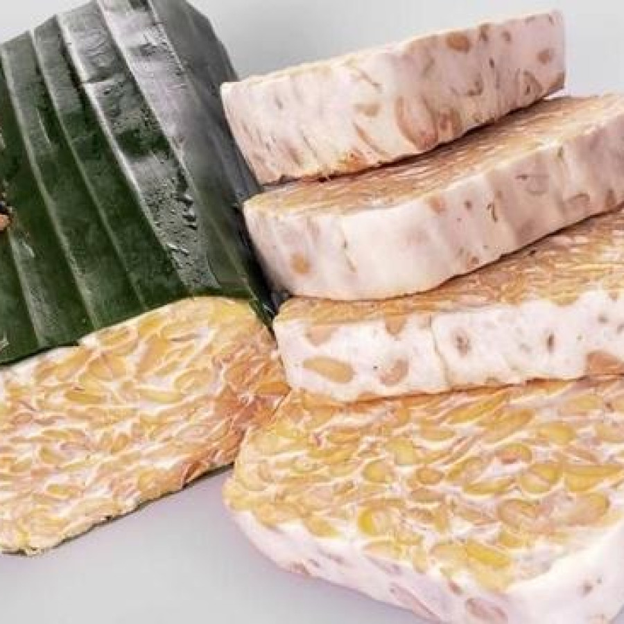 TEMPE PERSEGI PANJANG