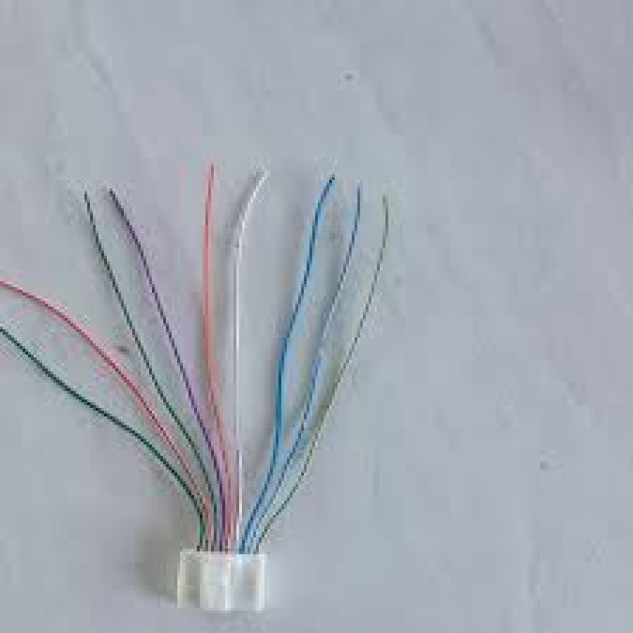 Socket Spion