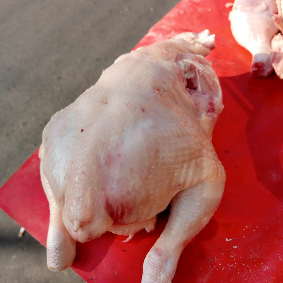 Ayam Potong Utuh Super - utama