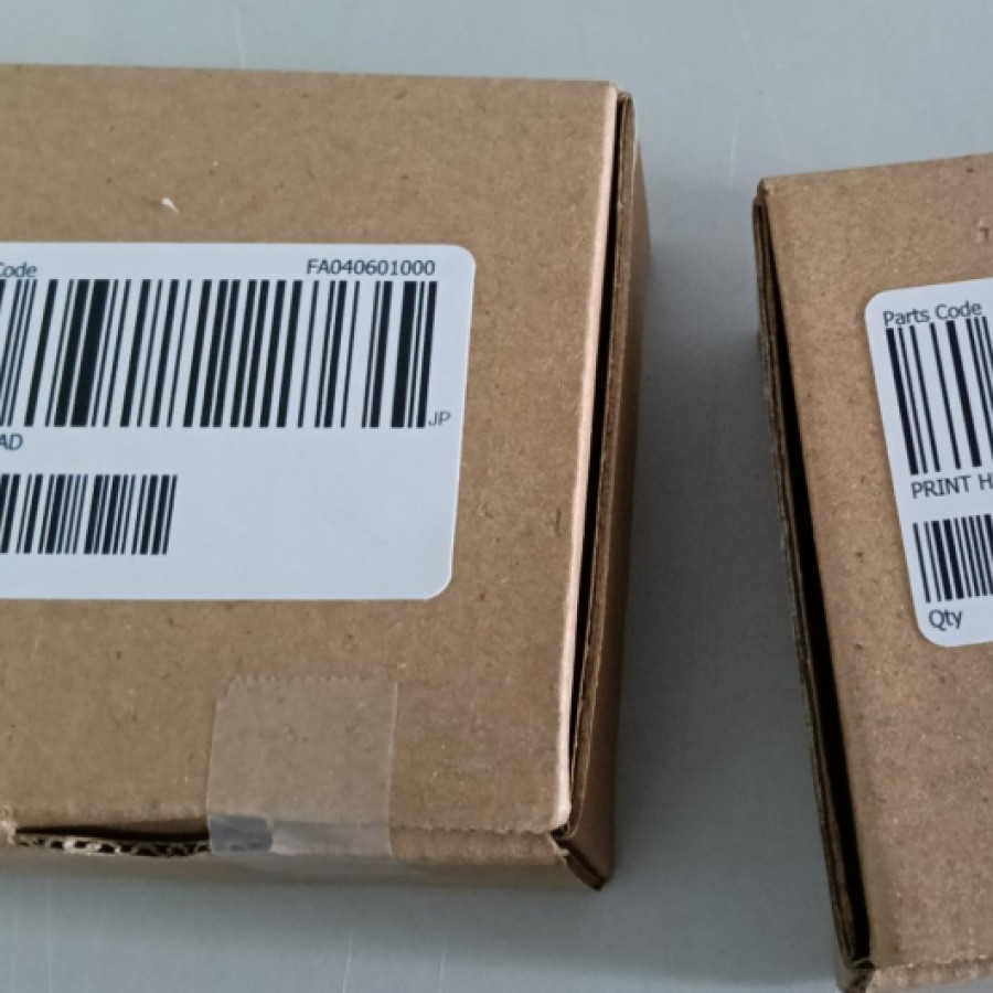 Epson Print Head Catridge L121