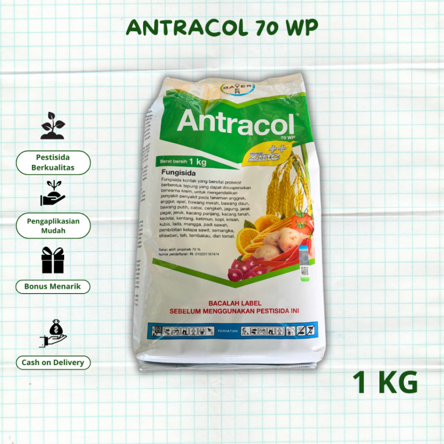 ANTRACOL 1Kg