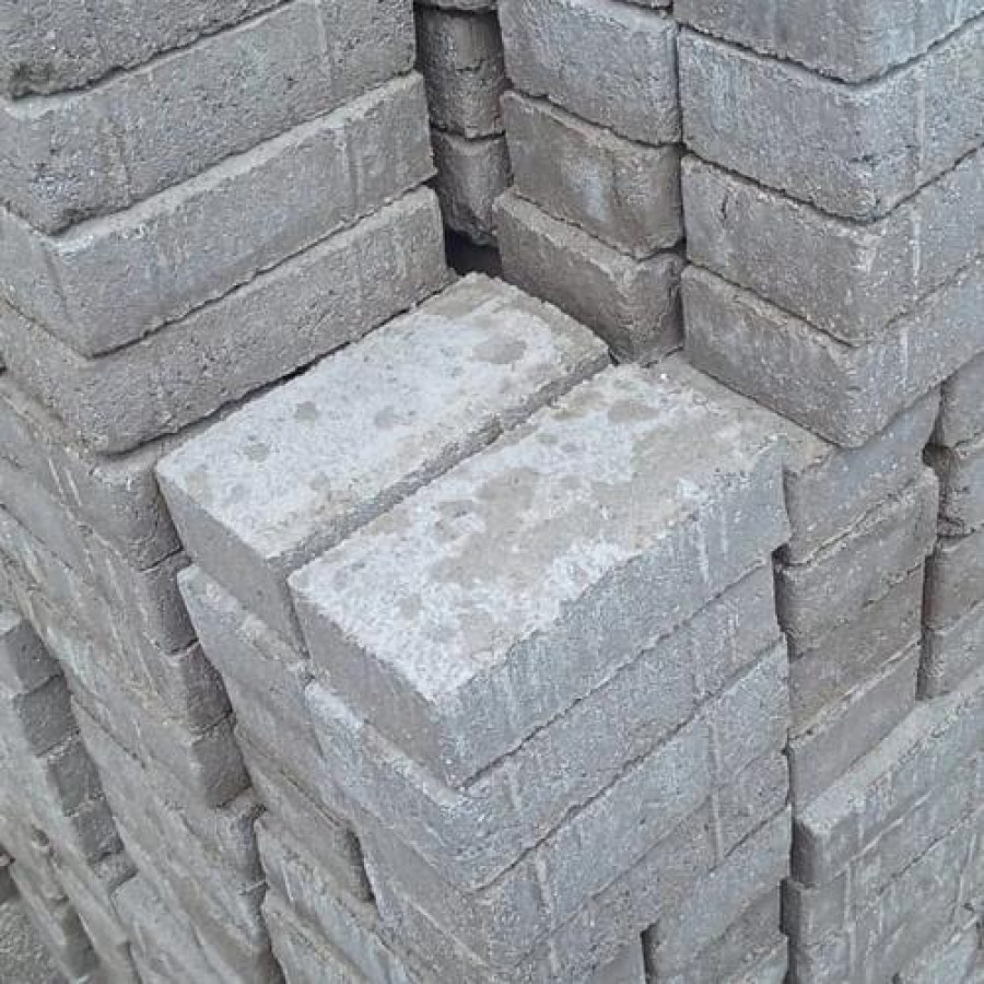Paving Block Tebal 6 cm - depan