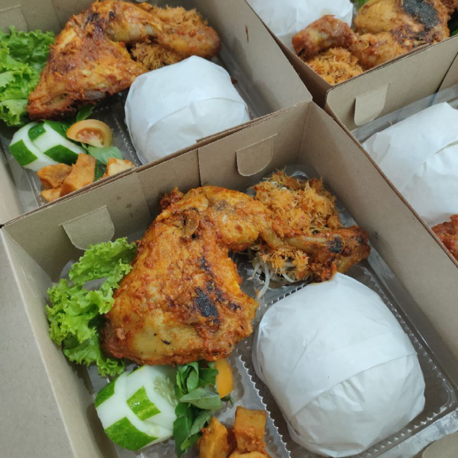 Nasi Kotak B01
