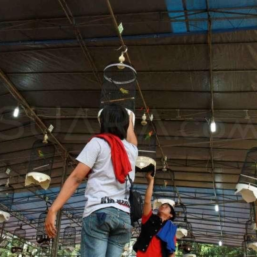JASA PENYELENGGARA ACARA - utama