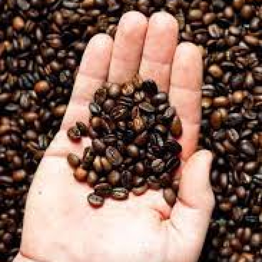 roast bean robusta nusantara