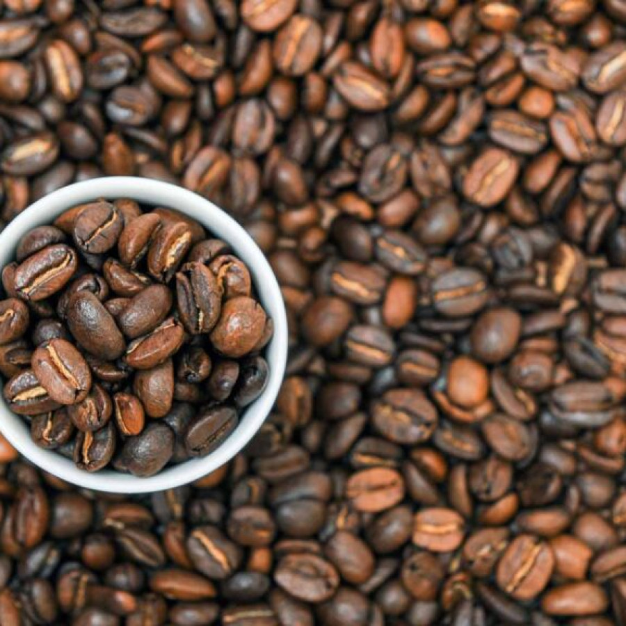 roast bean arabica nusantara