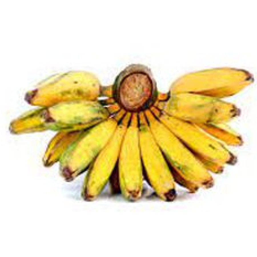 Pisang Kepok