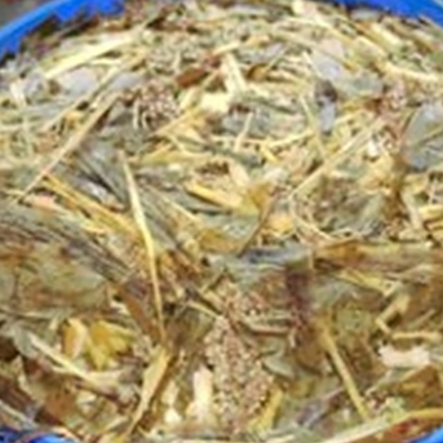 Paket Pelatihan Pembuatan Silase Pakan Ternak Ruminansia