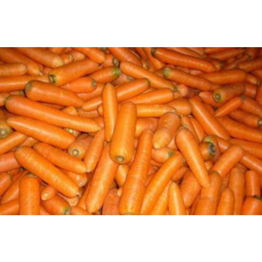 Wortel 1 kg BWS