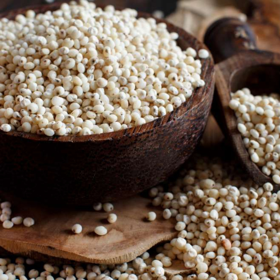 Beras Sorghum Putih  Curah - utama