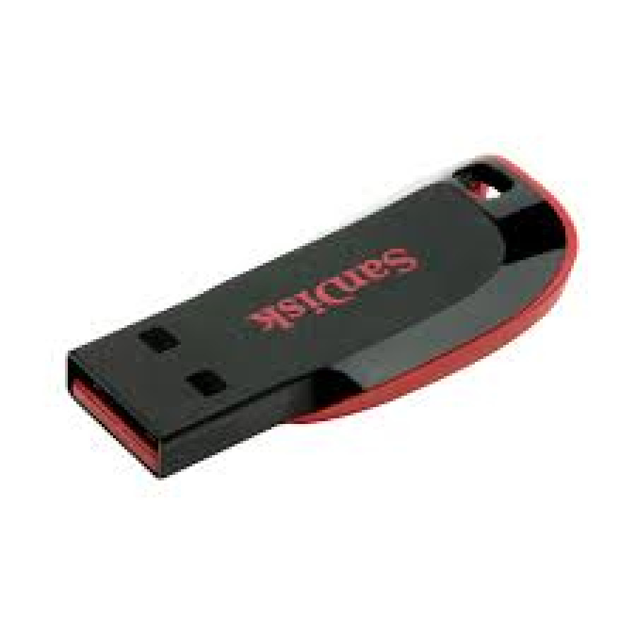 FLASHDISK SANDISK 8 GB