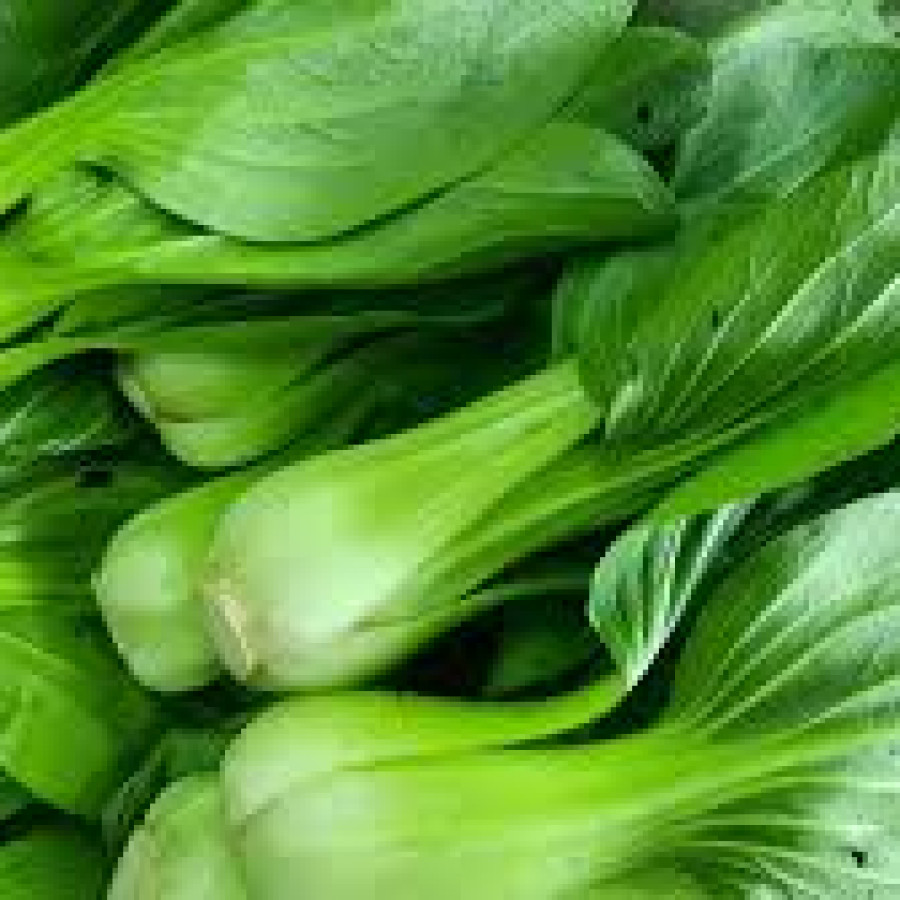 pakcoy sayur hijau