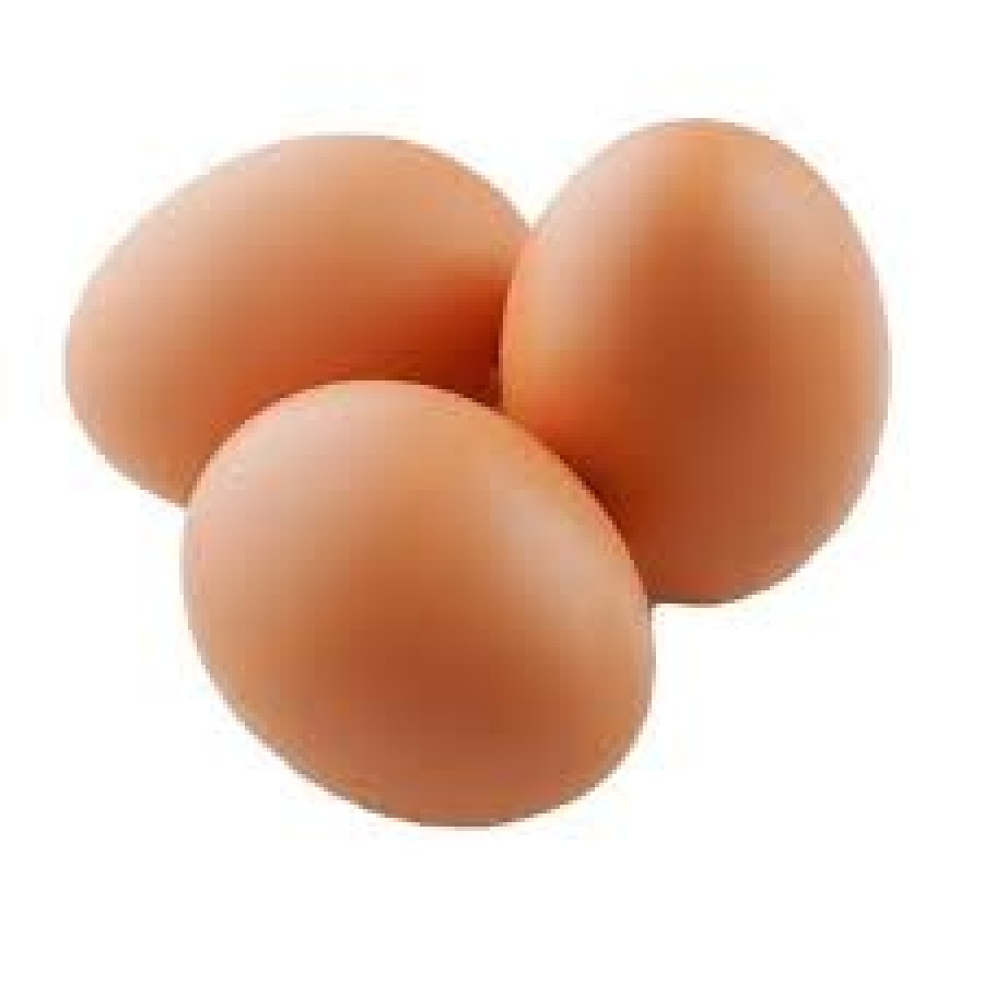 Telur Ayam Dalam Negeri - utama
