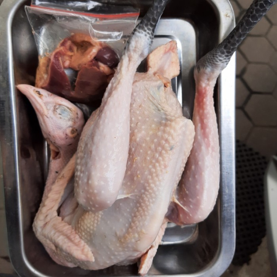 Daging Ayam Kampung
