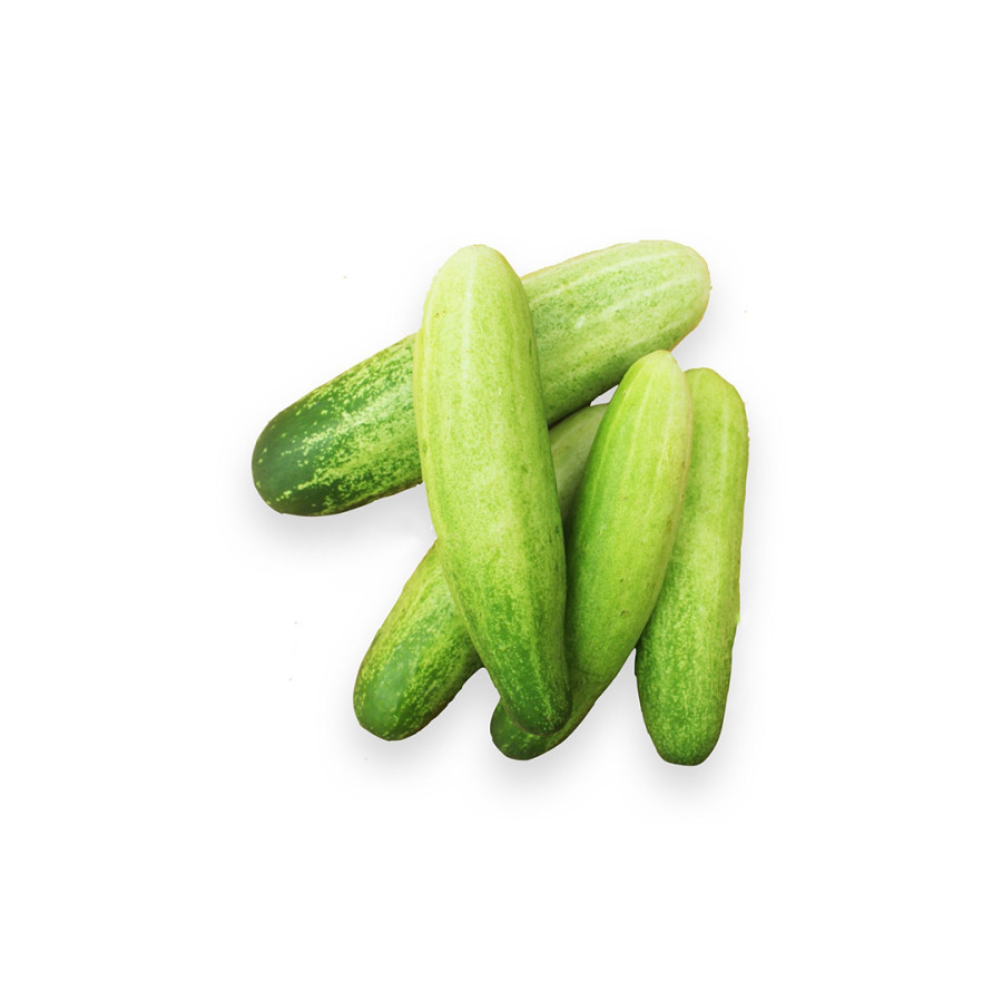 Timun Sayur Fresh per1kg - depan