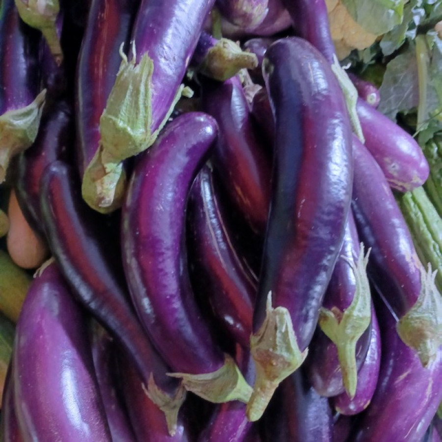 Terong (6 buah/kg) JBR