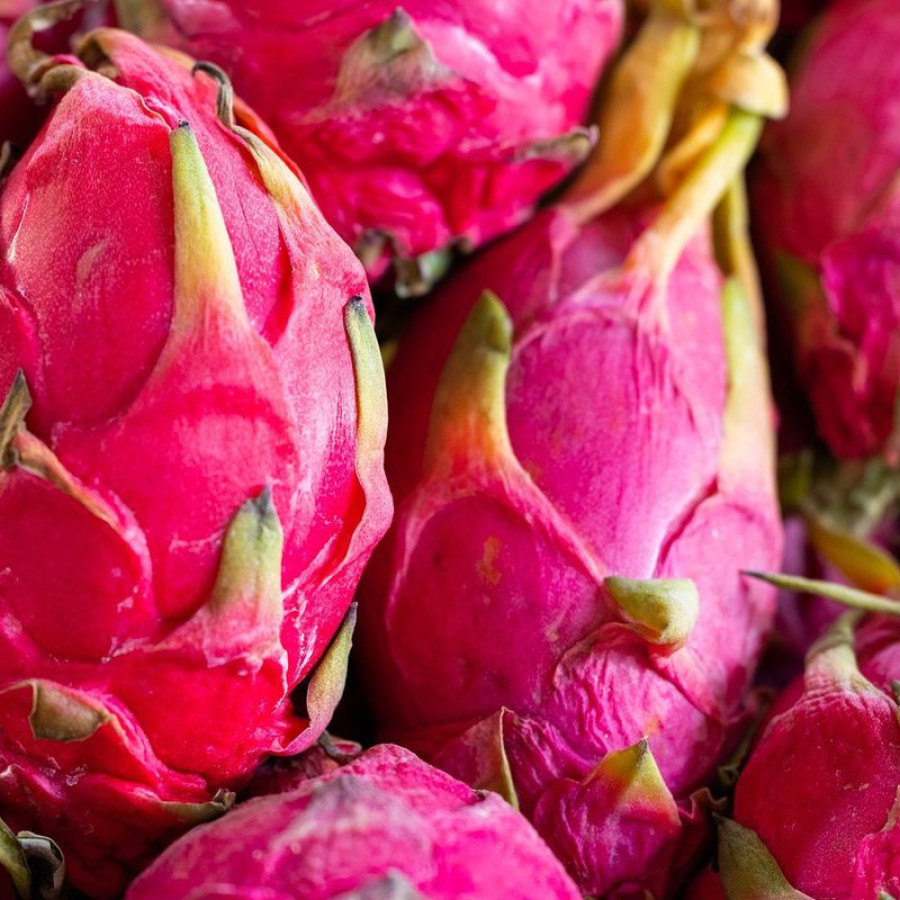 Buah Naga Segar - depan