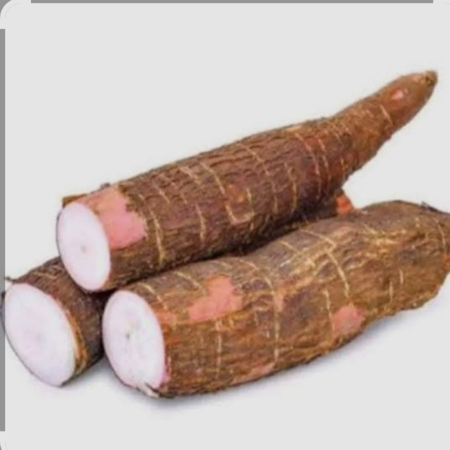 Ketela pohon