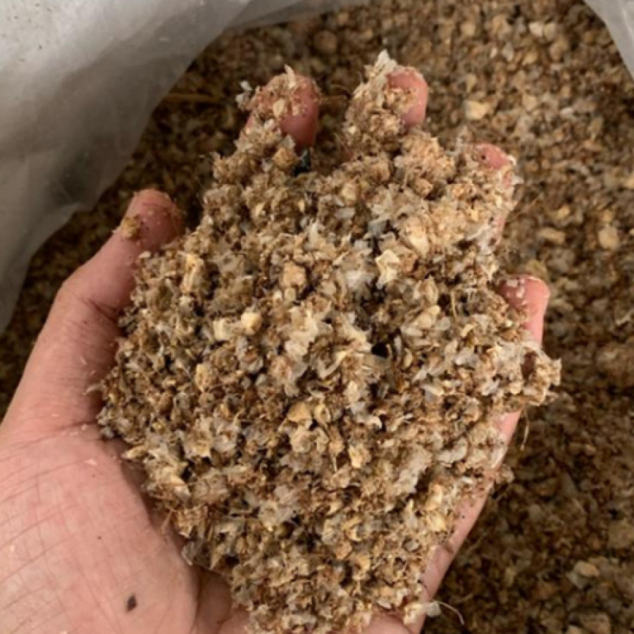 Paket Pelatihan Pembuatan Pakan Ternak Silase dan Konsentrat - utama