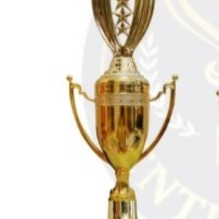 Piala plastik uk 40 cm