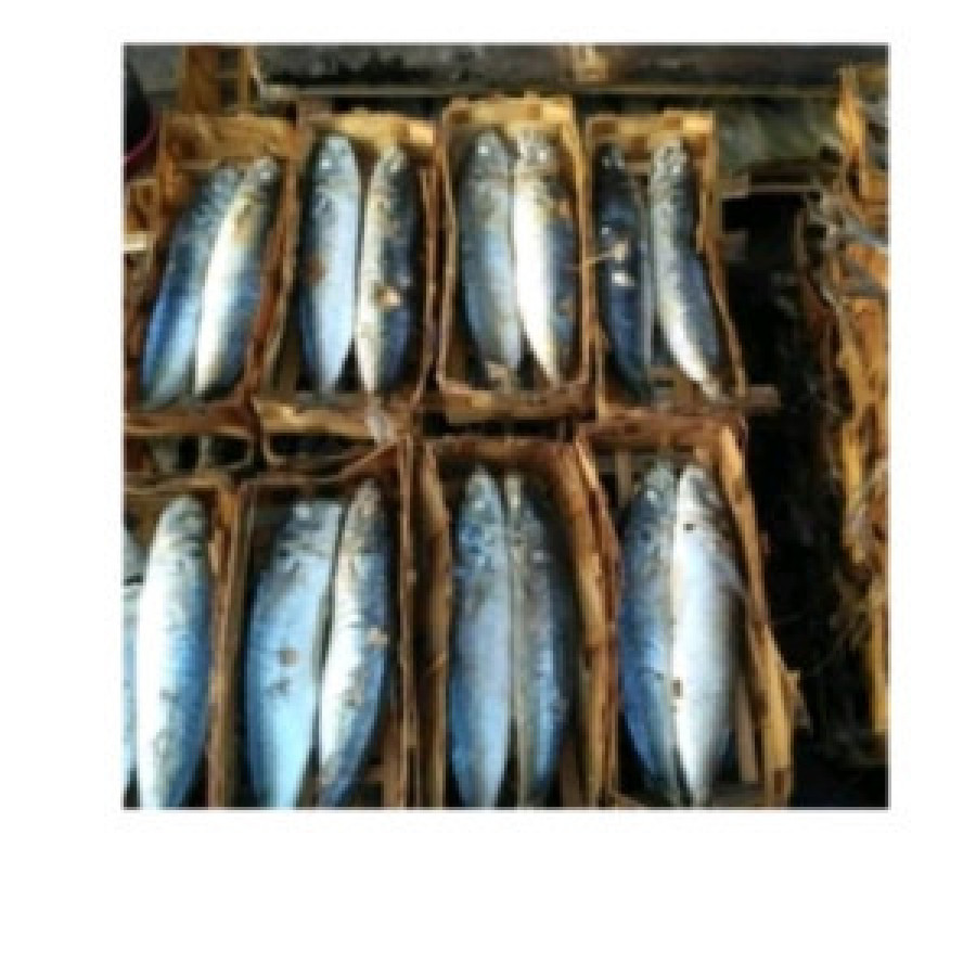 Ikan Pindang