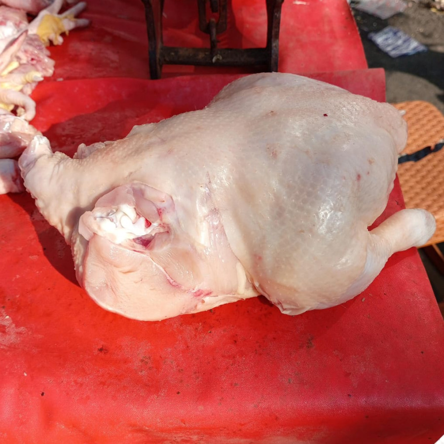 Ayam Potong Utuh Super - samping
