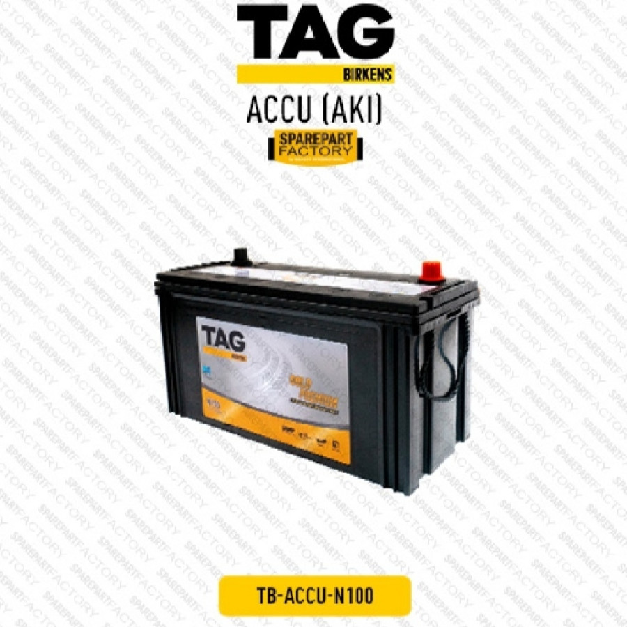 Accu Tag N100