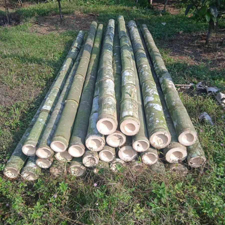 Bambu, per meter - depan