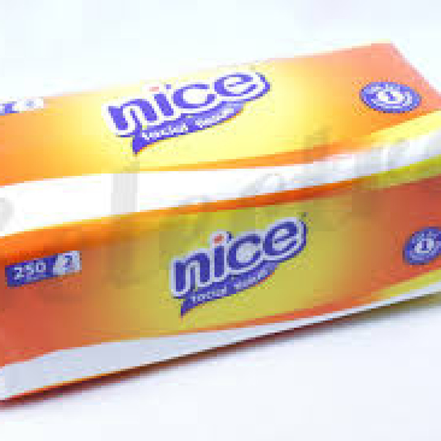 TISSUE WAJAH 250 SHEET 2 PLY MERK NICE