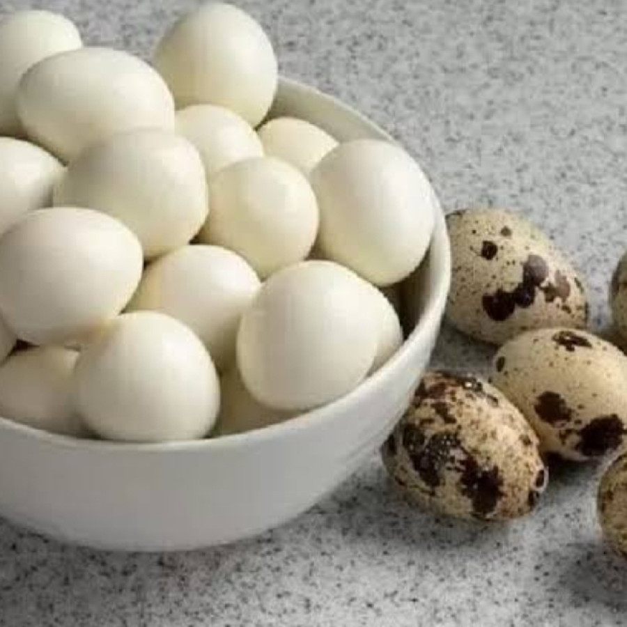 Telur Puyuh segar - utama