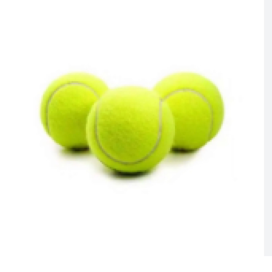 Bola Tenis Lapangan