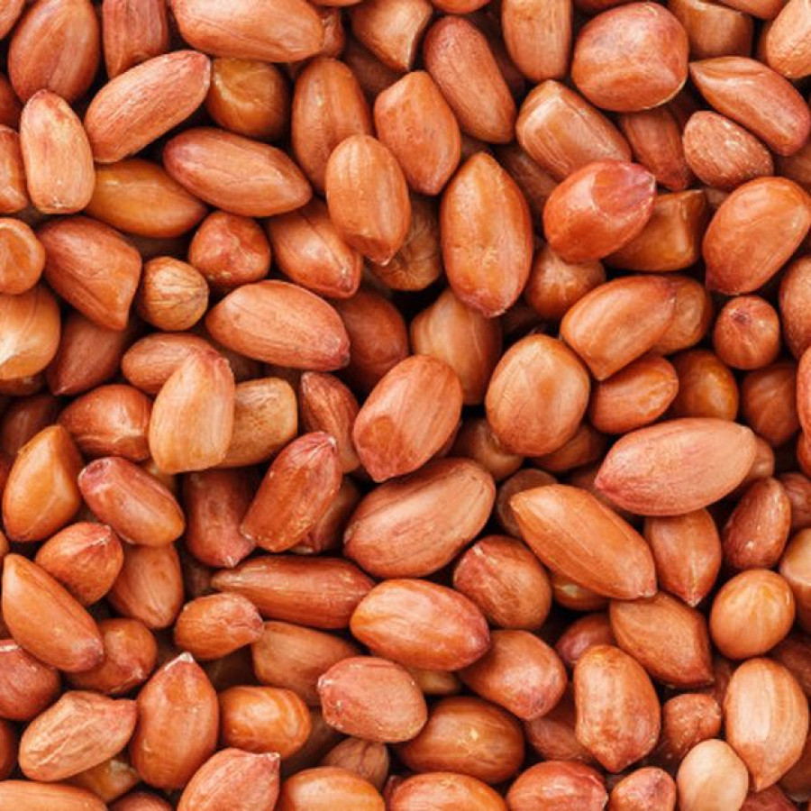 Kacang Tanah