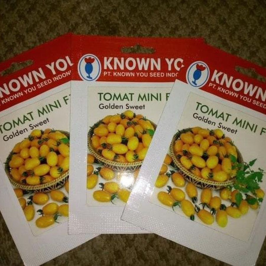 Benih Tomat Known You Seed
