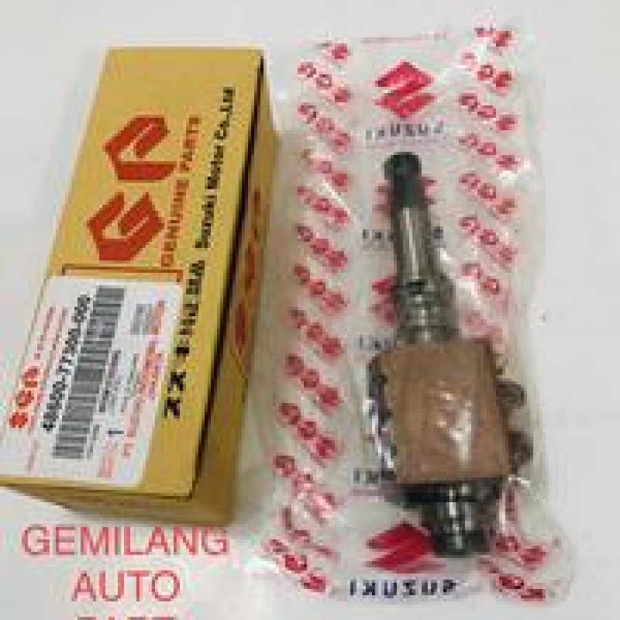 WORM STEERING TSS
